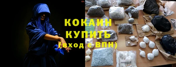 индика Покачи