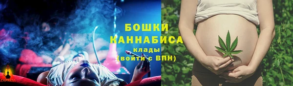 бошки Богородицк