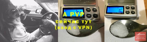 шишки Богданович