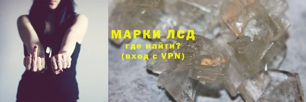 мдпв Бородино