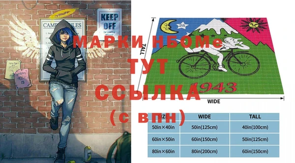 мдпв Бородино