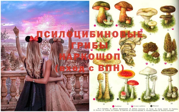мдпв Бородино