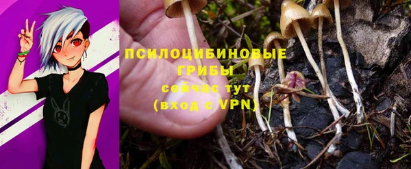 мескалин Бронницы