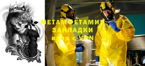 прущие грибы Покров