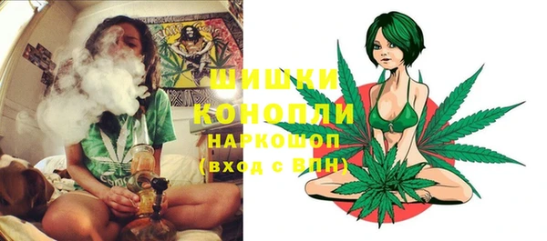 мдпв Бородино