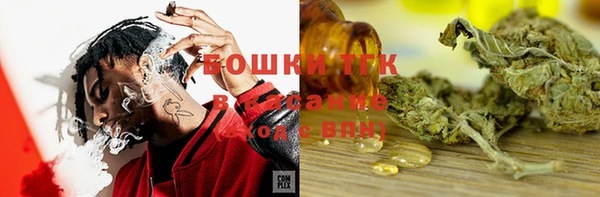 индика Покачи