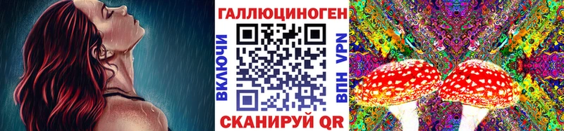 продажа наркотиков  мега как войти  Галлюциногенные грибы прущие грибы  Белокуриха 