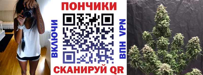 Конопля THC 21%  даркнет телеграм  Белокуриха  купить закладку 